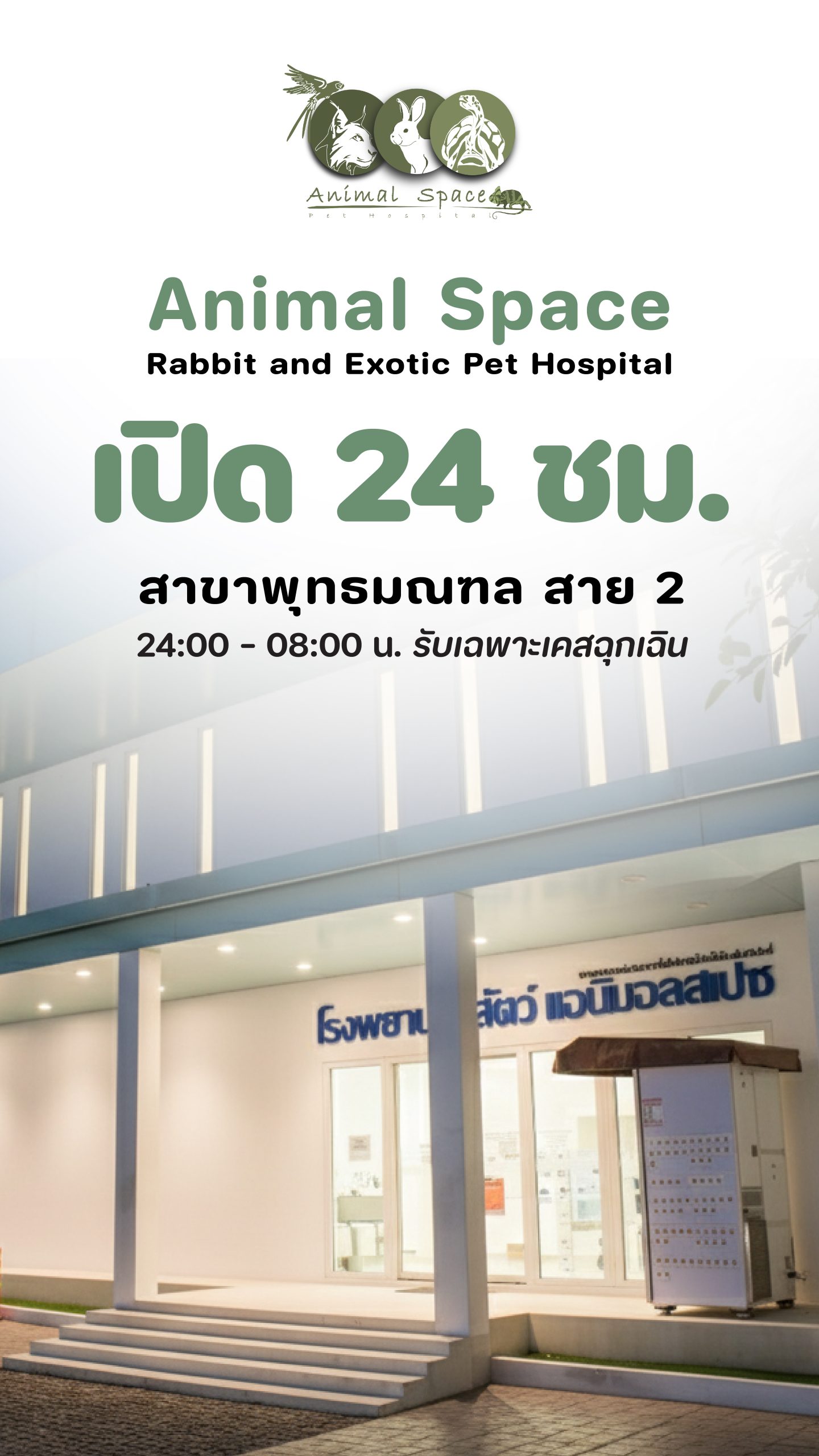 ปก web_Vertical 1